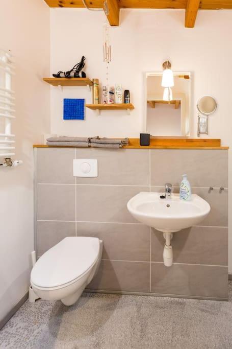 Apartment Wilhelmstr Fuer Bis Zu 3 Personen Bruehl  Exterior photo